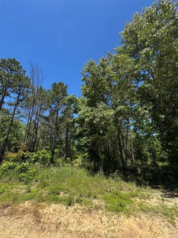 49 Hillside WAY, Watson, OK 74957