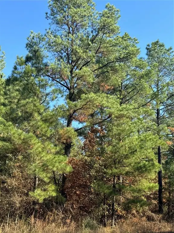 205 Bear Cedar TRL, Broken Bow, OK 74728