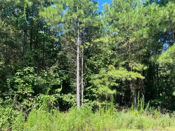 53 Weathered Timber TRL, Broken Bow, OK 74728