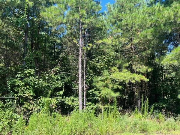 53 Weathered Timber TRL, Broken Bow, OK 74728