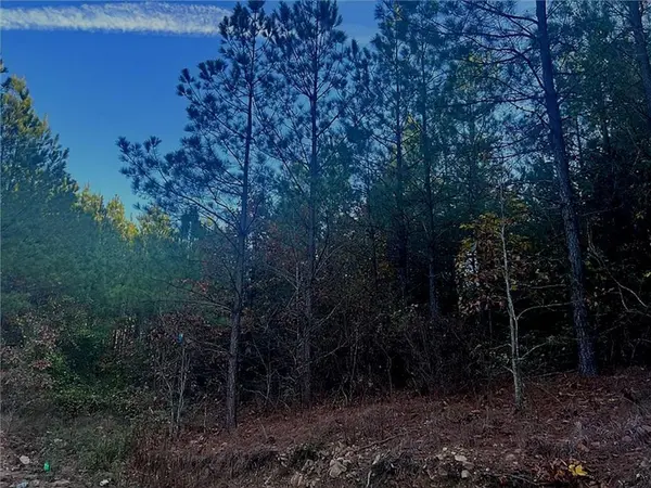 160 Red Fern TRL, Broken Bow, OK 74728