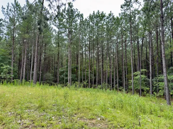 40 Hochacedar TRL, Broken Bow, OK 74728