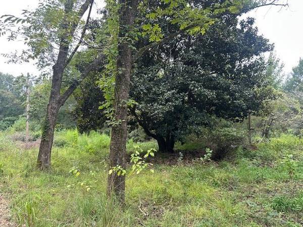 274 Galena Ridge RD, Haworth, OK 74740