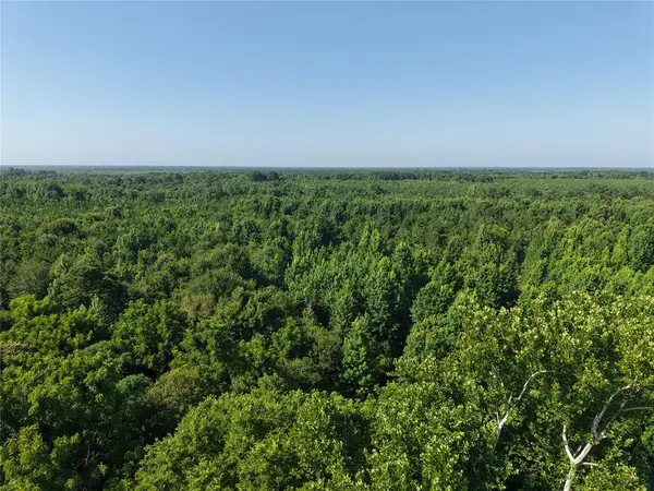 37 TBD Butler Road RD, Haworth, OK 74740