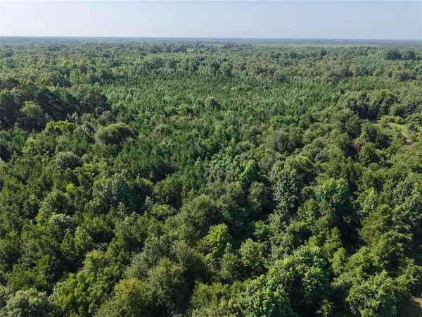 37 TBD Butler Road RD, Haworth, OK 74740