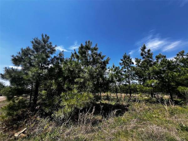 62 BR Johnson RD, Broken Bow, OK 74728