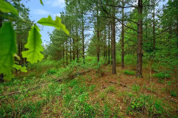 53 Pine Root CT, Broken Bow, OK 74728