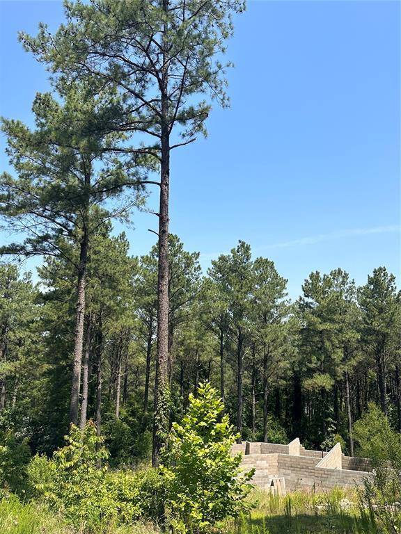 85 Green Apple TRL, Broken Bow, OK 74728