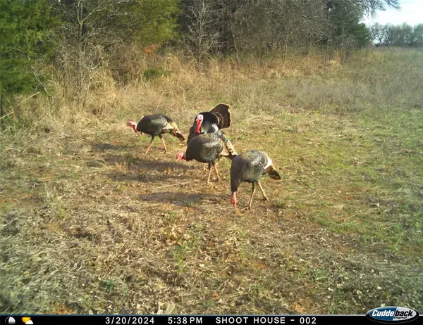 8650 Dobbs RD, Luther, OK 73054