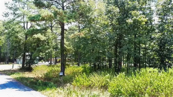 252 Split Paddle LN, Broken Bow, OK 74728