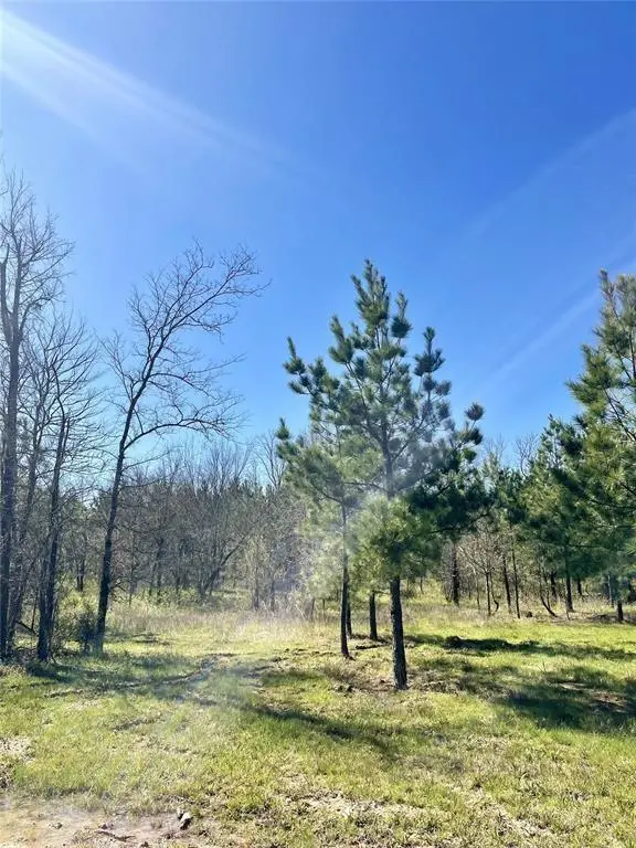118 Hidden Pines LOOP, Broken Bow, OK 74728