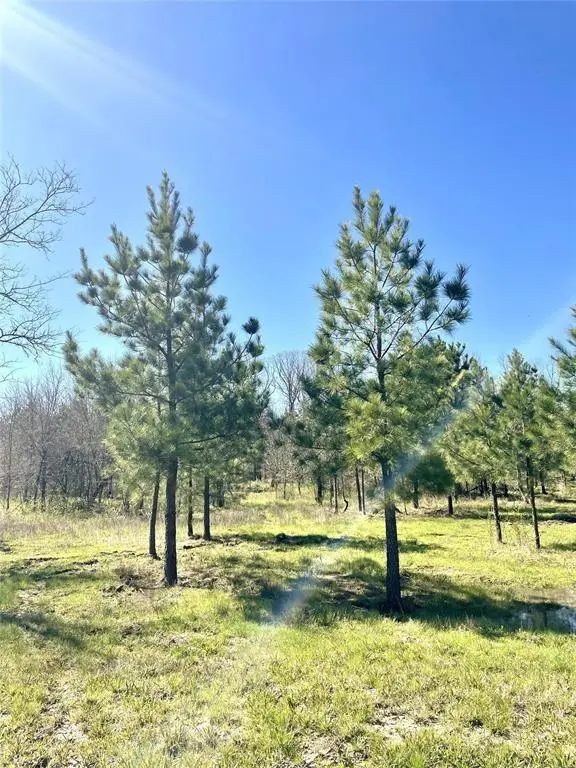 118 Hidden Pines LOOP, Broken Bow, OK 74728