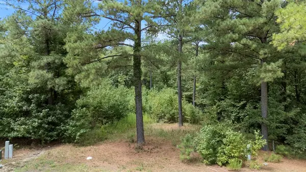 179 Coffee Tree TRL, Broken Bow, OK 74728