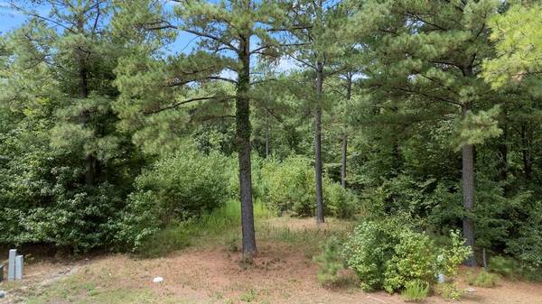 179 Coffee Tree TRL, Broken Bow, OK 74728