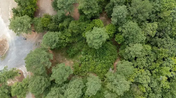 179 Coffee Tree TRL, Broken Bow, OK 74728