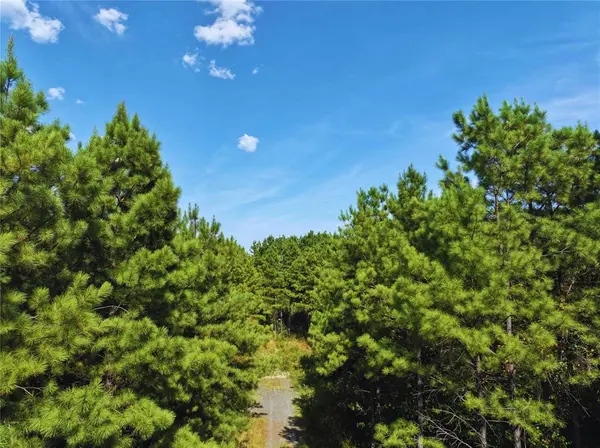 32 Wayward Pine Trl TRL, Broken Bow, OK 74728