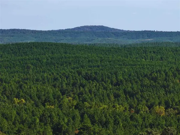 32 Wayward Pine Trl TRL, Broken Bow, OK 74728