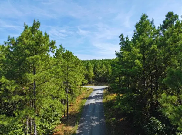32 Wayward Pine Trl TRL, Broken Bow, OK 74728