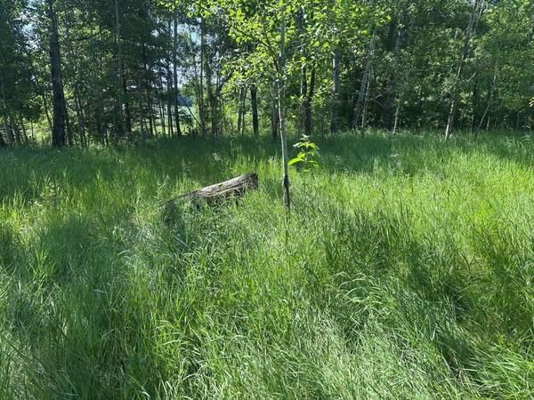 W9777 COUNTY RD X, Crivitz, WI 54114-8549