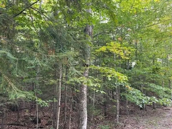 FAWN LN #37, Ellison Bay, WI 54210