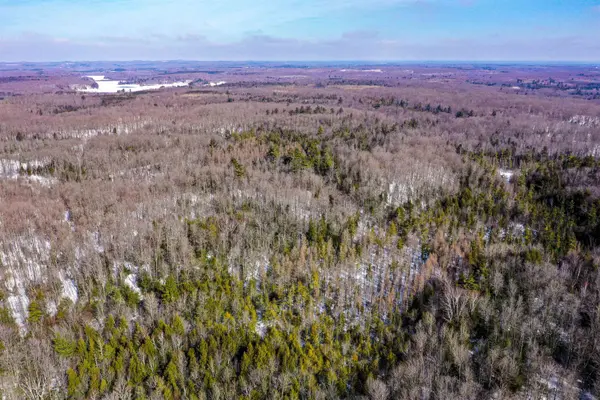 EMIL DR, Rib Lake, WI 54470