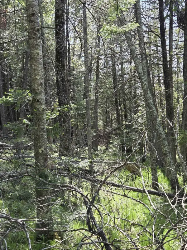 COUNTY ROAD G, Porterfield, WI 54159