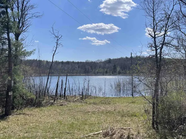 N6855 S LAKE DR, Wild Rose, WI 54984