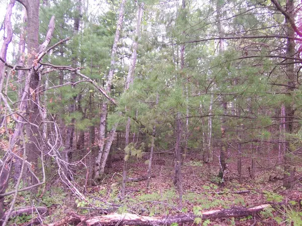 COUNTY ROAD S, Sobieski, WI 54171-0000