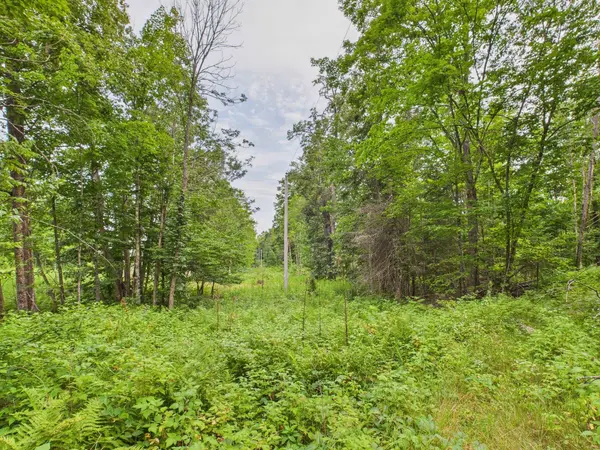 HWY 139, Argonne, WI 54511