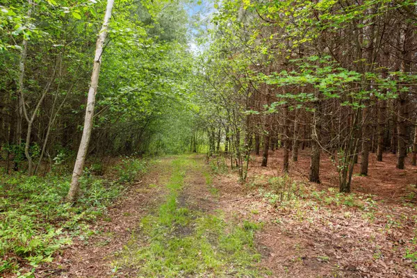 HALE SCHOOL RD, Peshtigo, WI 54157