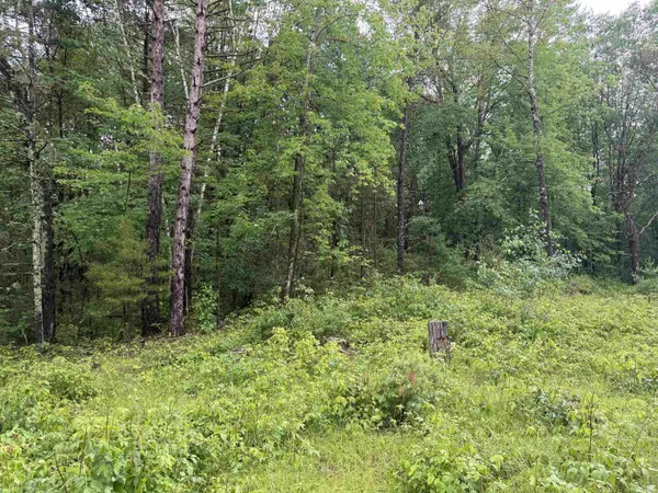 W1561 HAWKS NEST TRL #62, Keshena, WI 54135-0000