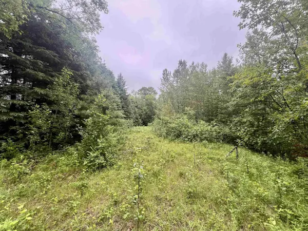 W8801 MOONSHINE HILL RD, Crivitz, WI 54114