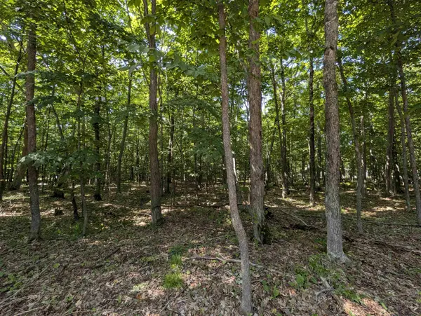 JACKSON HARBOR RD, Washington Island, WI 54246
