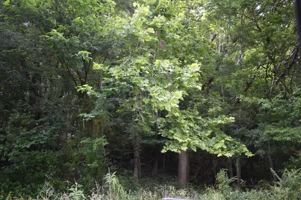 0 Pleasant Shade Hwy, Pleasant Shade, TN 37145
