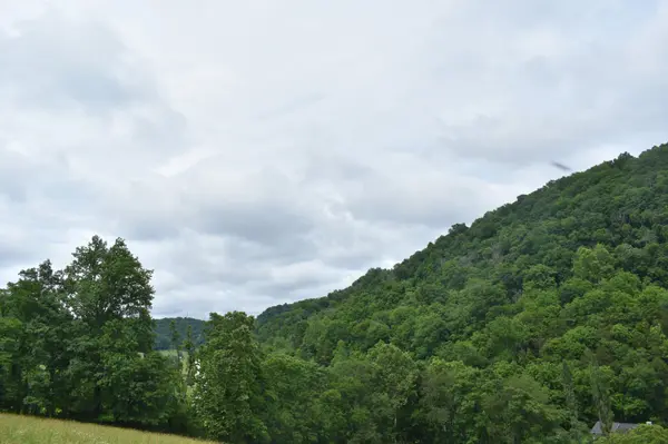 0 Pleasant Shade Hwy, Pleasant Shade, TN 37145