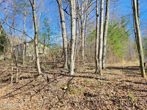69 Alpine Drive, Sevierville, TN 37876