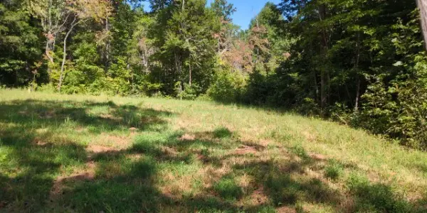 8400 Barren Fork Ln, Bon Aqua, TN 37025