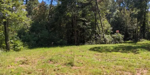 8400 Barren Fork Ln, Bon Aqua, TN 37025