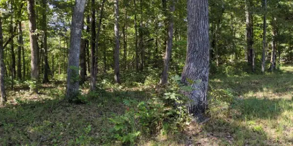 8400 Barren Fork Ln, Bon Aqua, TN 37025
