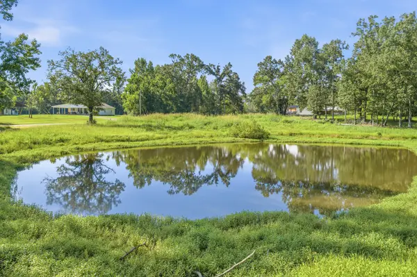 10 Winston Rd, Adamsville, TN 38310