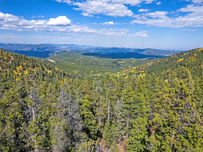 000 Edward DR, Conifer, CO 80433