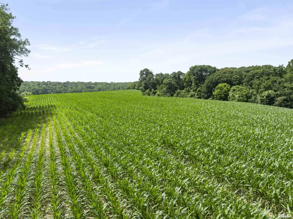 000 N Highway 9 County Road, Lewistown, IL 61542