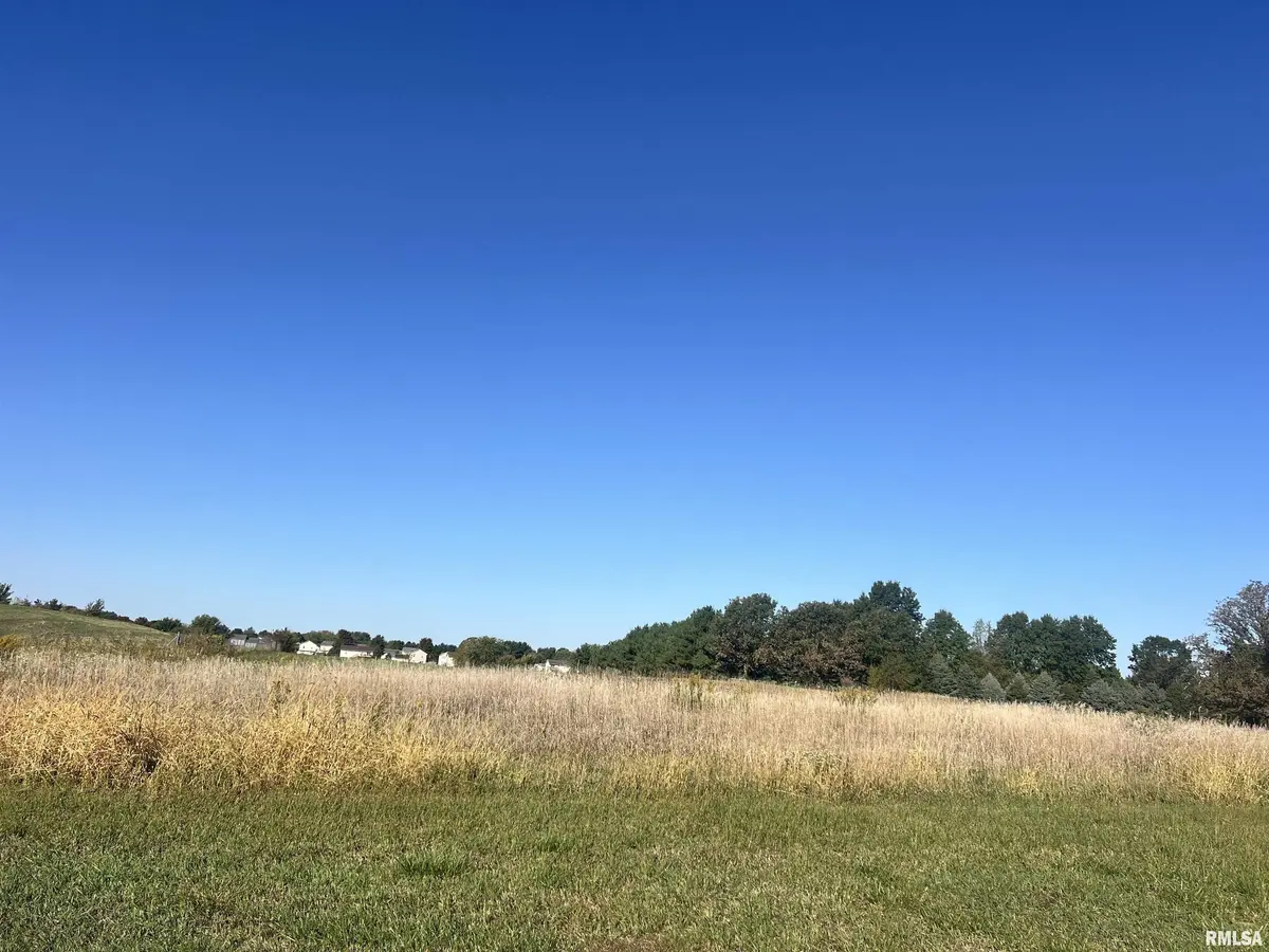 Lot 91 Kyle CT, Metamora, IL 61548
