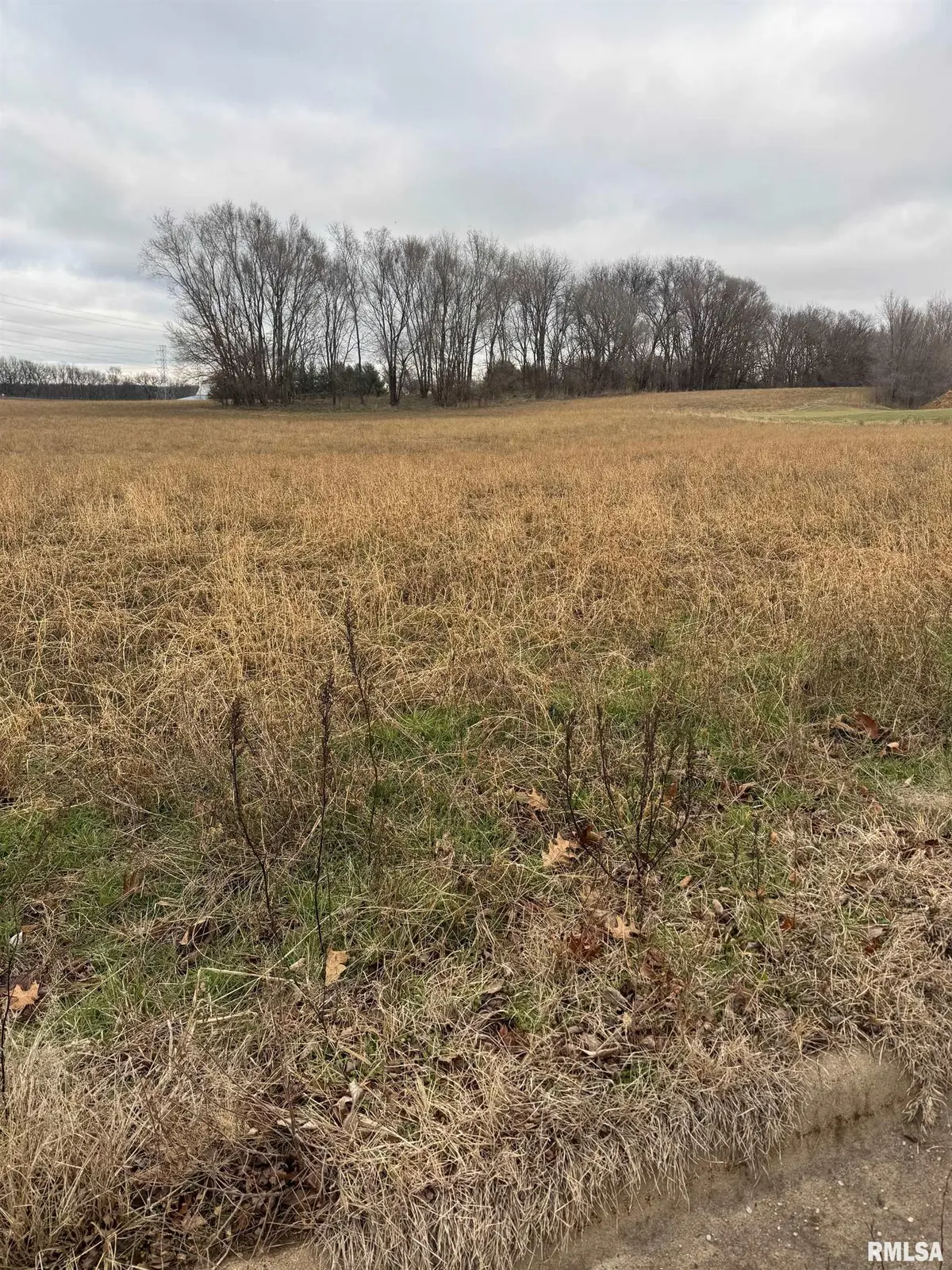 0 VELDE DR, Pekin, IL 61554