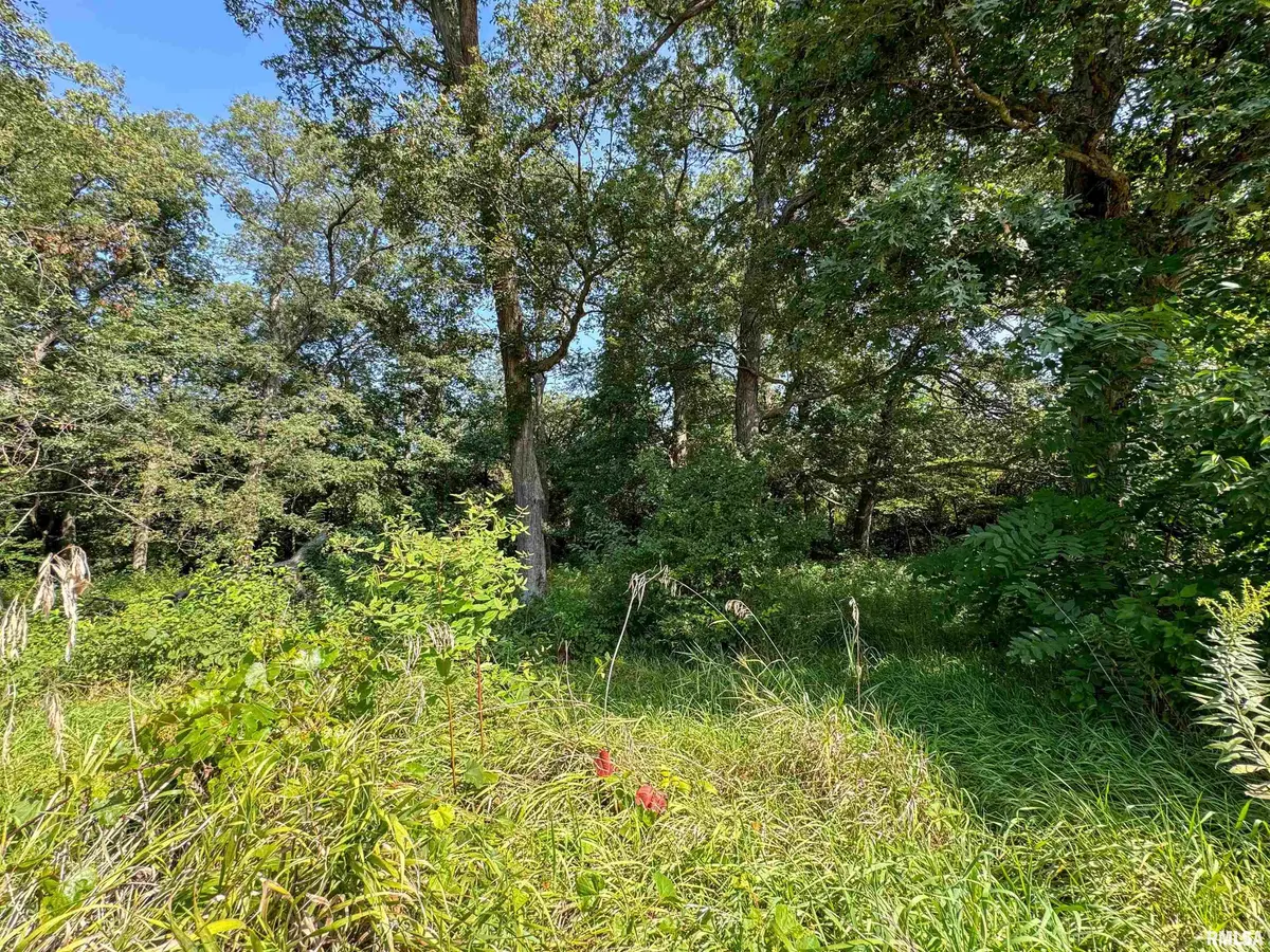 3105 KACY DR, Pekin, IL 61554