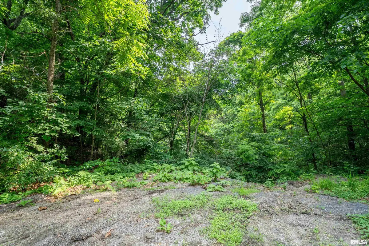 #8 W HARP HOLLOW RD, Peoria, IL 61607