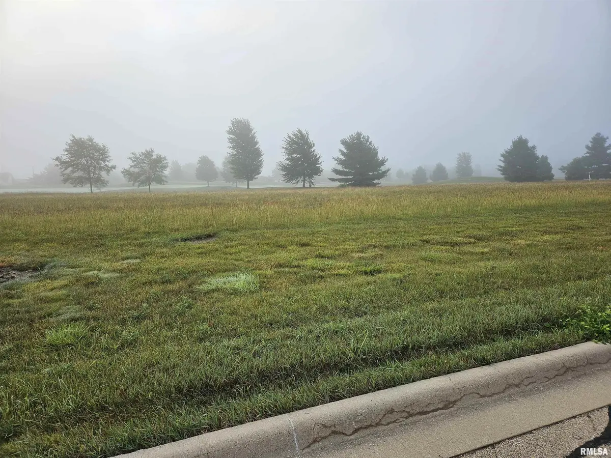 Lot 35 HARMON LN, Metamora, IL 61548