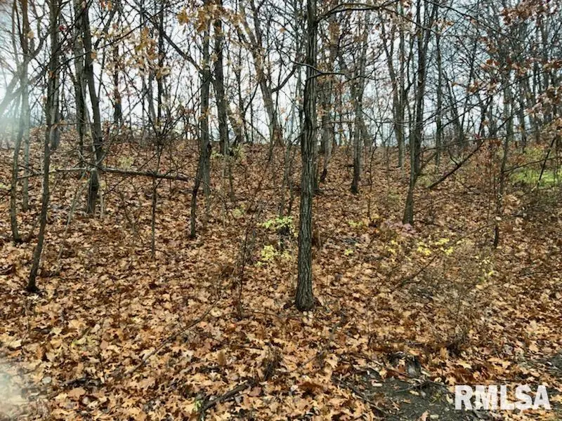 000 YANKEE LN, Chillicothe, IL 61523