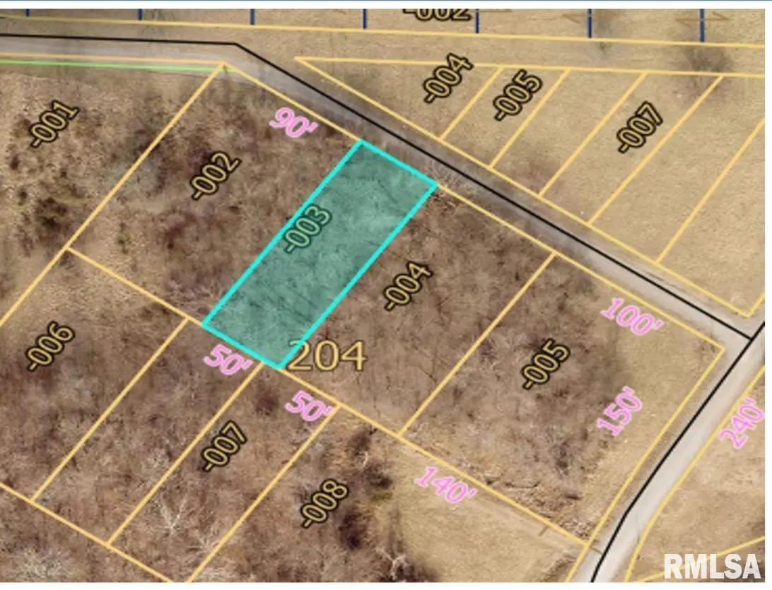 TBD DEWEY ST, Murphysboro, IL 62966