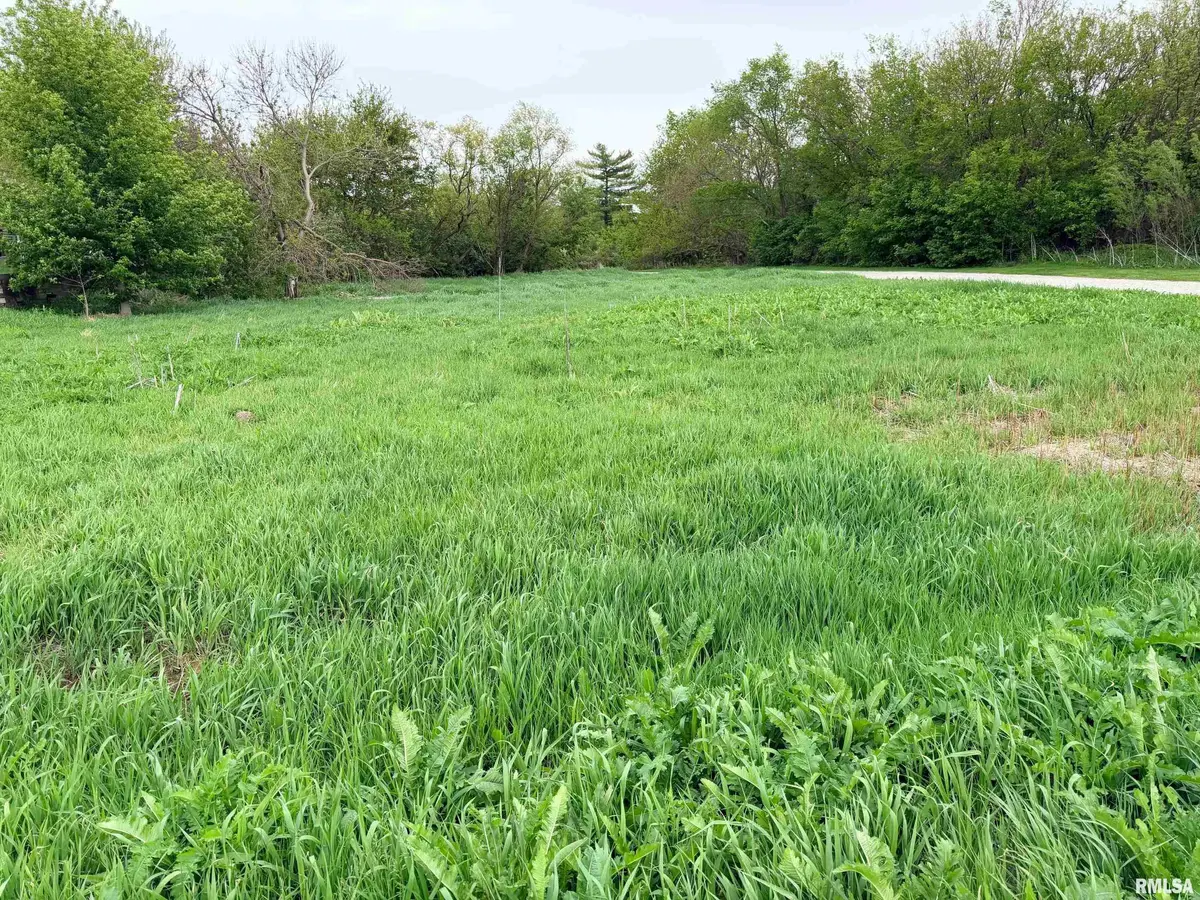 00 N RADNOR RD, Peoria, IL 61615